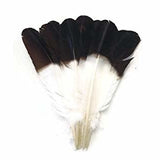Hat Accent Feather Imitation Eagle