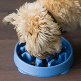 Fun Feeder Slo Bowl Dog Feeder  Blue Small