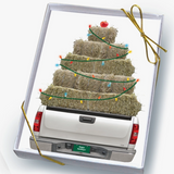 Horse Boxed Christmas Cards