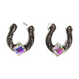 Western Small Horse Shoe Post Earring
