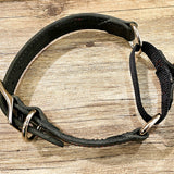 Martingale Draw Leather Dog Collar BTB