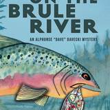 Books By Local Author Mike Savage