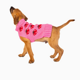Strawberry Dog Sweater