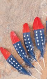 Feather Hand Painted Red/White/Blue