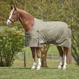 Comfitec Standard Neck Medium