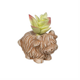 Petal & Plow Faux Floral Table Decor, Highland Cow Succulent