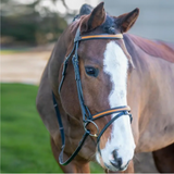 Broadmoor Mono Crown Flash English Horse Bridle