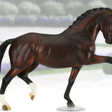 Salvino Dressage Champion