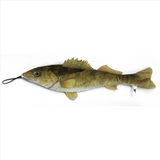 Freshwater Walleye