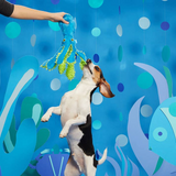 BARK Shifty Sid the Squid