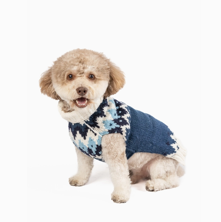Ski Bum Dog Sweater