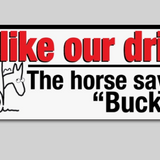 Bumper Sticker - Assorted