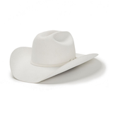 Stetson Deadwood Felt