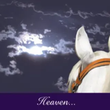 Horse Hollow Sympathy Card Heaven Got a Little Brighter