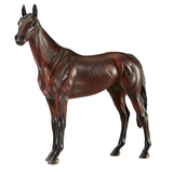 Winx Australian Race Horse