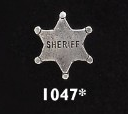 Sheriff Badge Pin