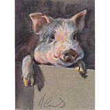 Blank Greeting Cards - Animal Artwork