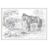 Blank Greeting Cards - Jude Too Funny Horse