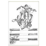 Blank Greeting Cards - Jude Too Funny Horse