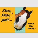 Money or Gift Card Holder & Envelope: Smells like Money Horse