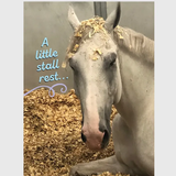 Get Well Card: A Little Stall Rest...