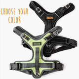 Sport Dog Harness 2.0