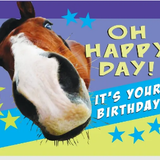 Money/Gift Card Holder & Envelope Birthdays