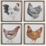 Wood Framed Chicken Print Assort.