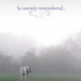 Sympathy Card: So Warmly Remembered