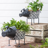 Rustic Pig Planter