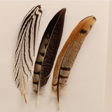 Hat Trim Accent Feather Assort