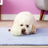 Jolly Jumper Dog Toy