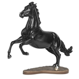 ATP Power - Amberley Snyder's Barrel Horse