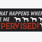 Bumper Sticker - Assorted