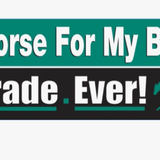 Bumper Sticker - Assorted