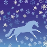 Horse Christmas Cards