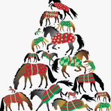 Horse Christmas Cards