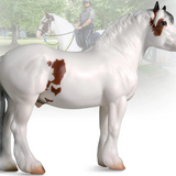 Hytyme Legend Kentucky Horse Park Police Horse