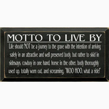 9x18 Sawdust City Sign