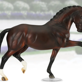 Salvino Dressage Champion