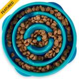 Fun Feeder Slo Bowl Turquoise Medium