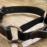 Martingale Draw Leather Dog Collar BTB