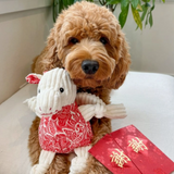 Small Knottie Lucky Dragon