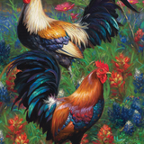 Roosters 1000pc Puzzle
