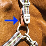 Leather Breakaway Buckle Replacement BTB