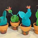 Coaster Cactus Set Assort. BTB