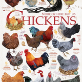 Chicken Quotes 1000pc Puzzle