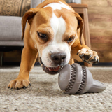 BARK Hare Raiser Rabbit Rubber Chewer