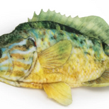 Freshwater Sunfish Dog Toy