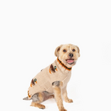 Lucky Duck Dog Sweater